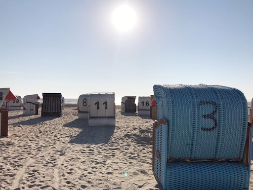 Vier Sterne Oase in Friesenhörn, ruhige Lage , direkt am Deich gelegen