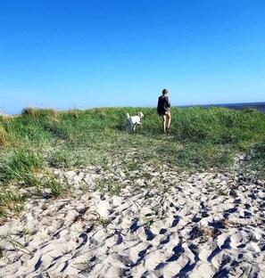 Vlak bij het strand