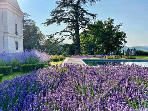 Charming apartment 2 km from the center of Cluny