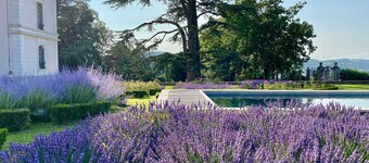 Charming apartment 2 km from the center of Cluny