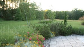Un jardín con un sendero empedrado, diversas plantas y árboles.