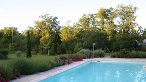 Piscina rectangular con borde de azulejos, rodeada de un jardín ajardinado con arbustos y flores diversas.