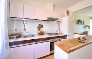 Fridge, oven, stovetop, coffee/tea maker