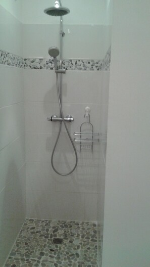 Shower, hair dryer, soap, toilet paper