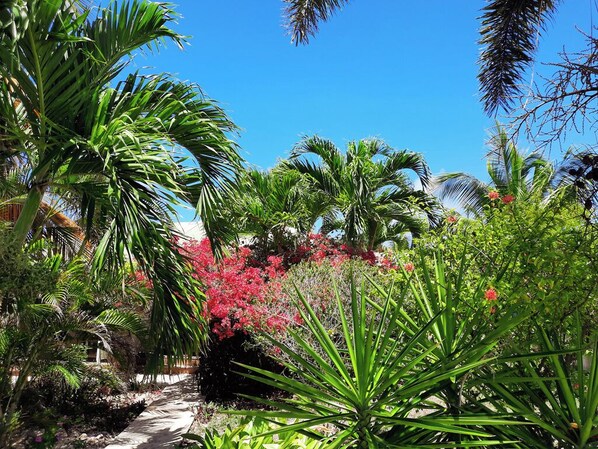 Property grounds - 3 bungalows at Gîte Cannelle 150m from the sea (Saint-François)