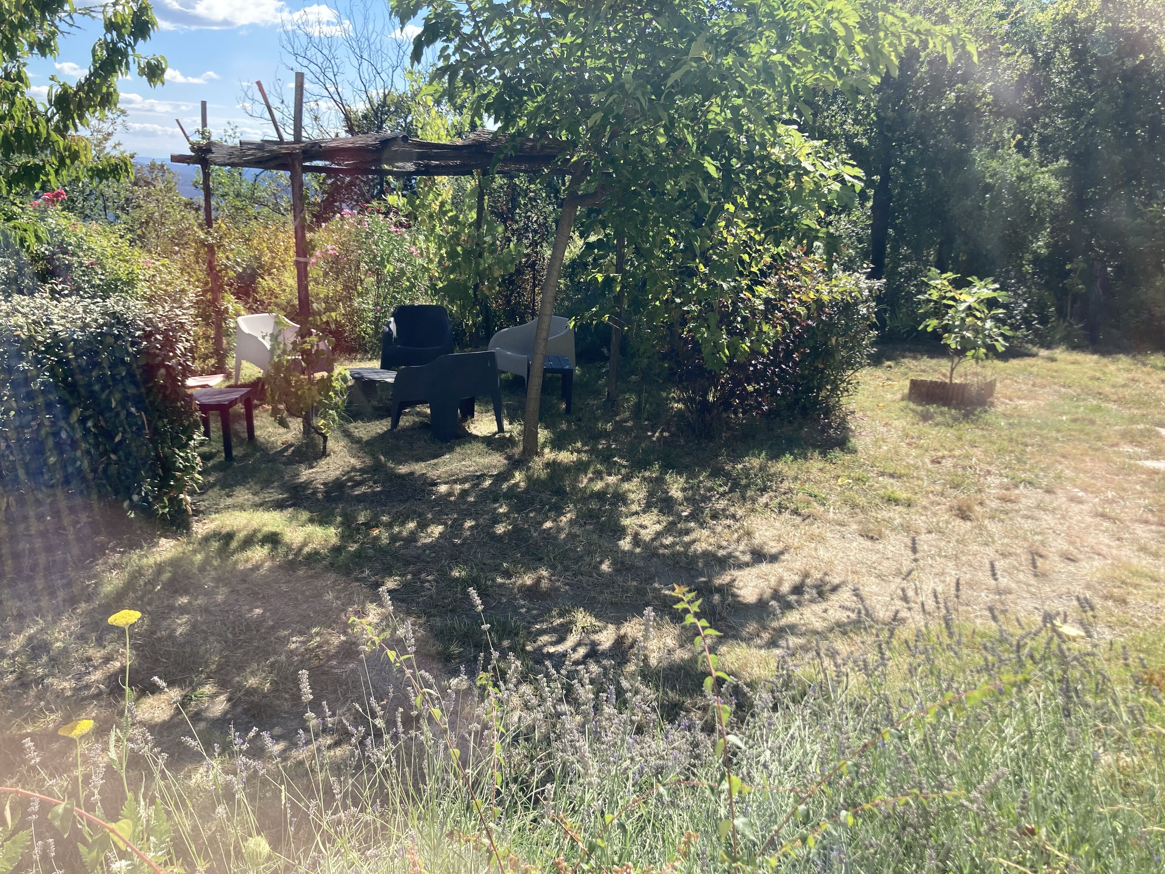 Ein Garten mit einer Pergola, Gartenmöbeln und verschiedenen Pflanzen.