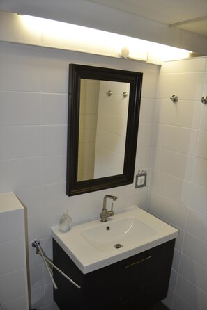 Shower, hair dryer, soap