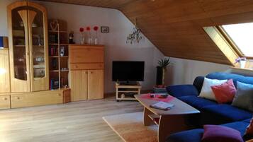 Fernseher, DVD-Player, Bücher, Stereoanlage