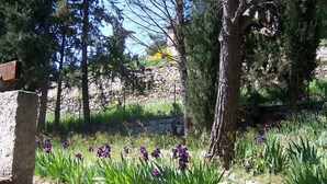 A stone wall with purple flowers and green plants, surrounded by trees and a stone wall.