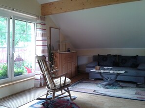TV, DVD player, books