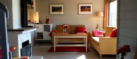 電視、壁爐、DVD 播放機