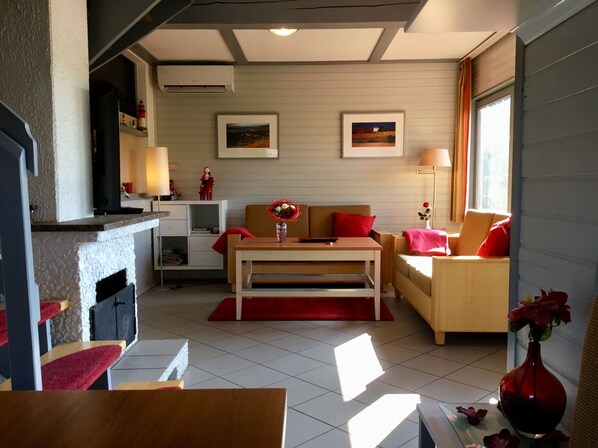 Télévision, cheminée, lecteur de DVD