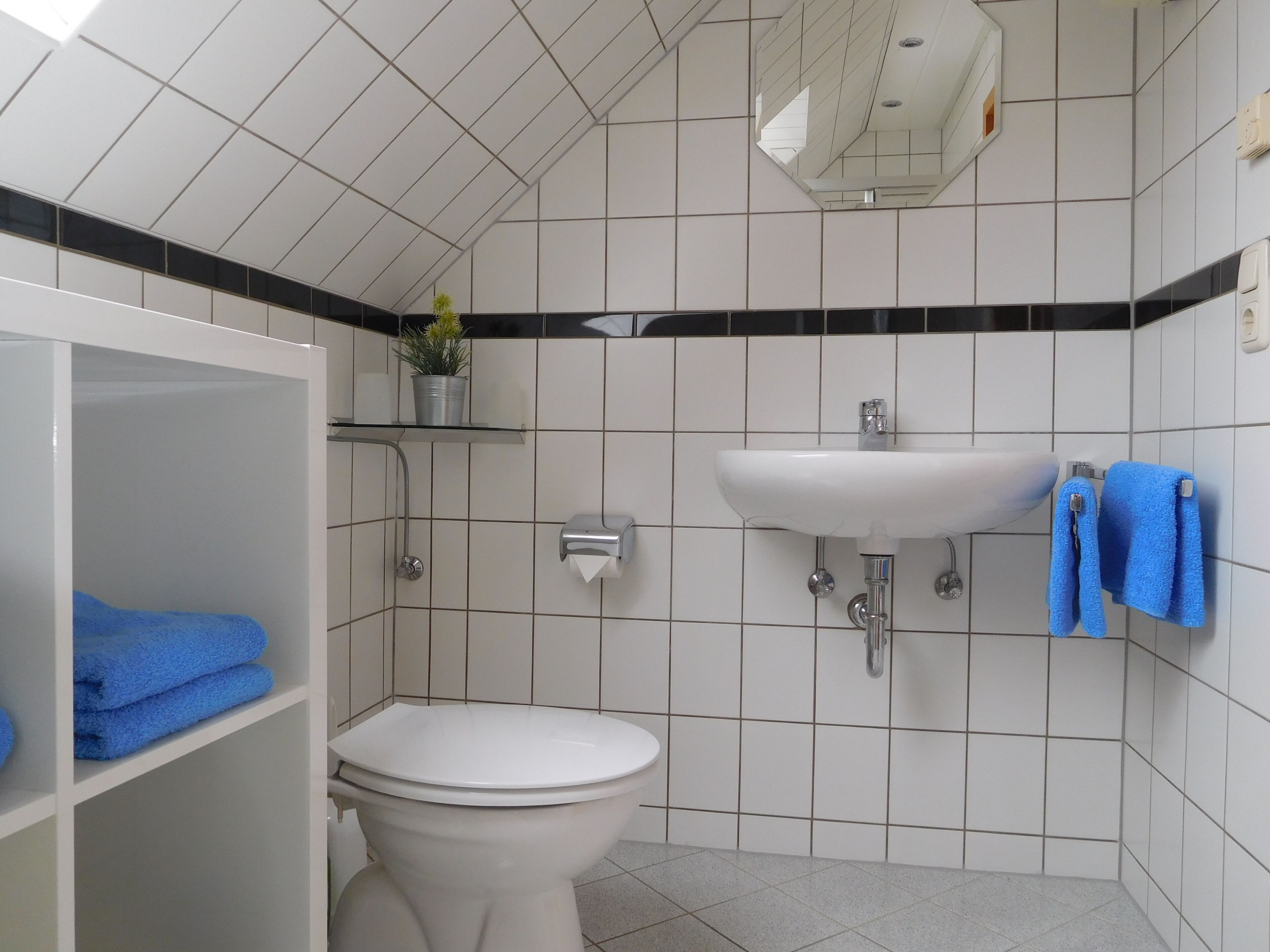 Une salle de bain avec des toilettes blanches, un lavabo et une étagère sur laquelle est posée une plante en pot.
