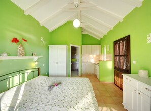 Een slaapkamer met een bed, een kledingkast, een badkamer en een keuken.