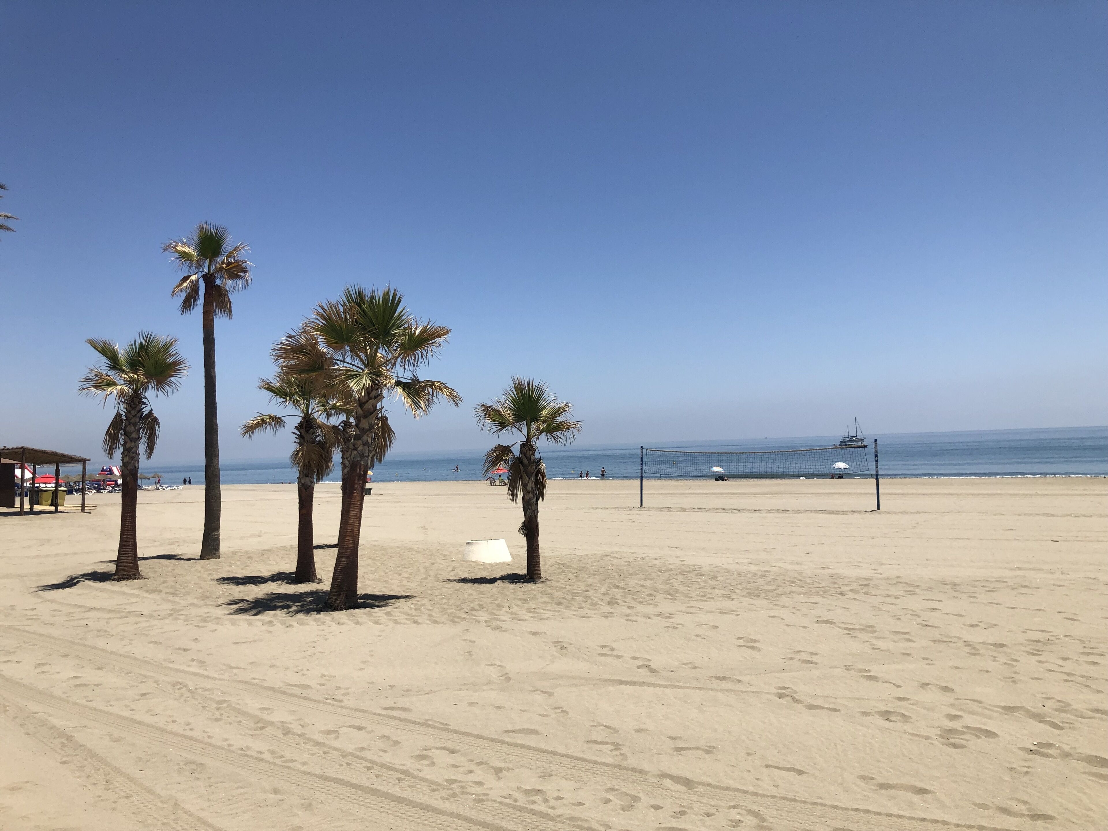 Una playa con palmeras, una red de voleibol y un barco a lo lejos.