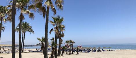 Plage à proximité, chaises longues, serviettes de plage