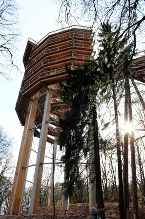Une tour d’observation en bois, dotée d’un escalier en colimaçon, entourée d’arbres et bordée d’une zone boisée.