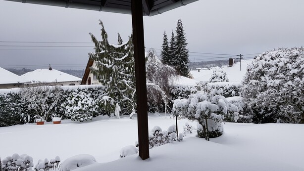 A snow-covered garden with potted plants and a wooden pergola.