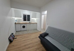 A compact living space with a kitchenette, washing machine, and a sofa.