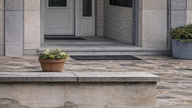 A building entrance with a door, a mailbox, and two potted plants on the steps.