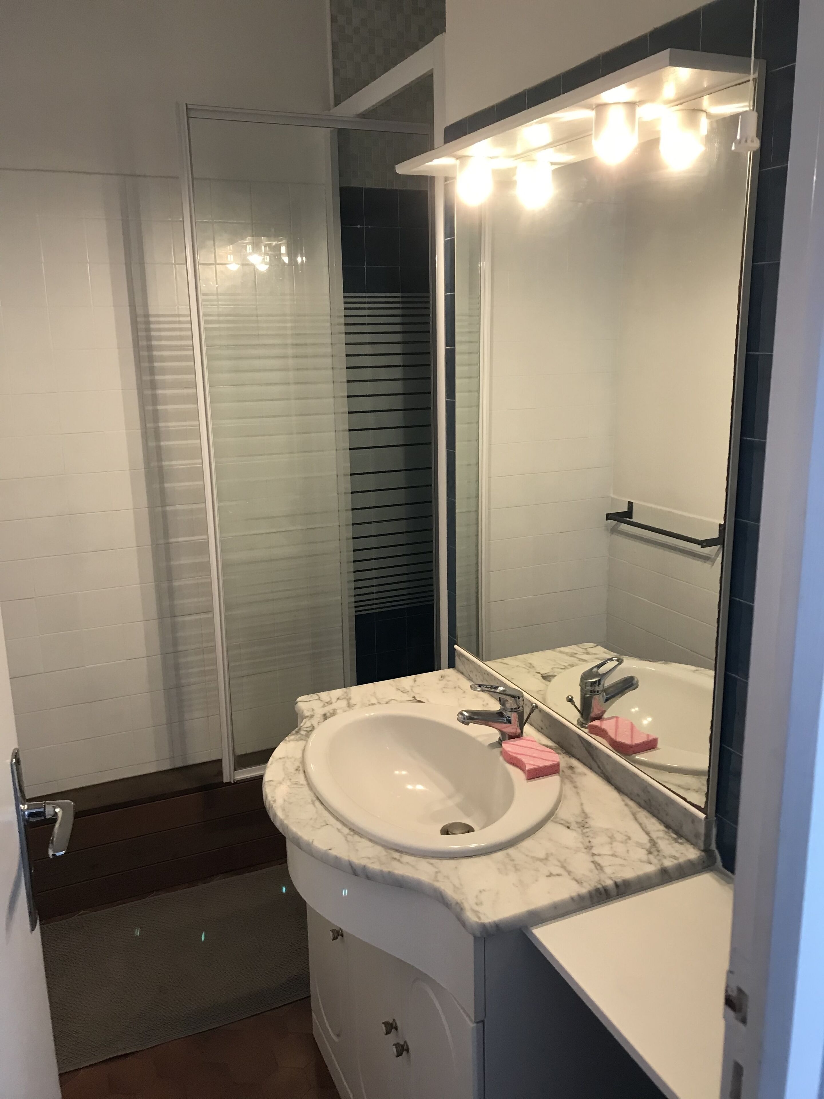 Une salle de bain avec un lavabo blanc, un miroir et une cabine de douche en verre.