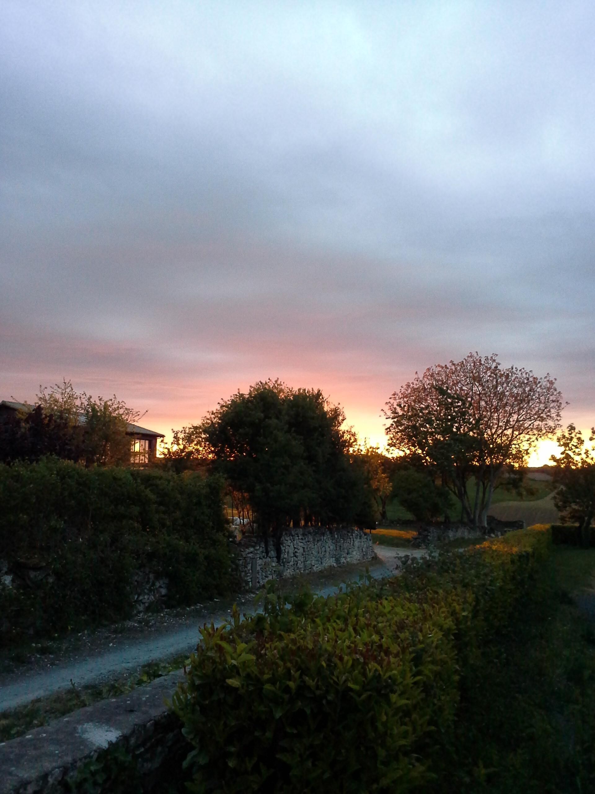 Un paysage rural avec un mur de pierres, un sentier et des arbres, au coucher du soleil.