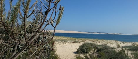 海灘