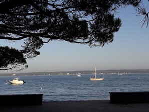 Beach nearby - Villa rental in Cap-Ferret (Lège-Cap-Ferret)