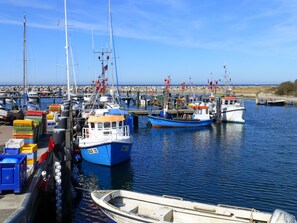 A marina with various boats docked, including a blue fishing boat and a white boat with "SAS" on its side.