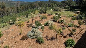 A landscaped garden with various plants and rocks, a clear view of the ocean, and a hilly landscape in the background.