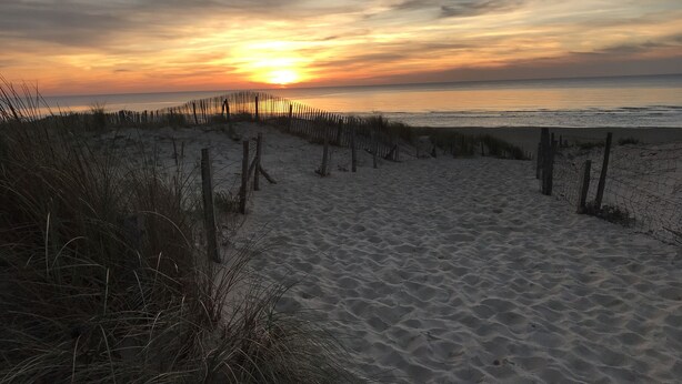 Une plage avec une clôture et des dunes de sable.