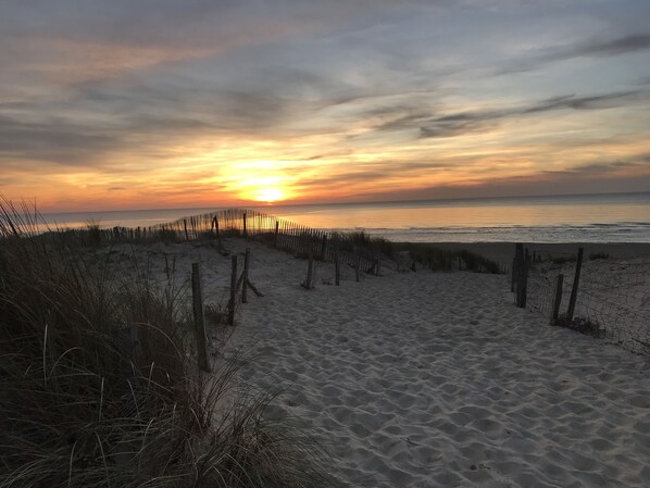 Beach nearby - House sleeps 8 under the pines (Moliets-et-Maa)