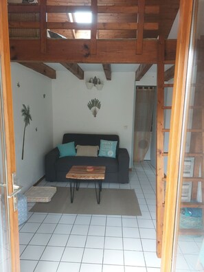 TV, books, stereo - House sleeps 8 under the pines (Moliets-et-Maa)