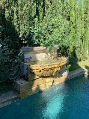 A stone water feature with cascading water, surrounded by lush greenery and tall trees.