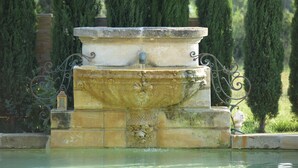 Een stenen fontein met een waterspuit, omringd door een metalen hekwerk, gelegen in een tuin met hoge bomen.