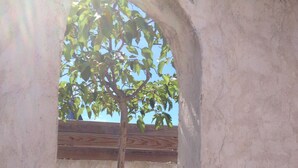 Una pequeña ventana en arco con un árbol creciendo a través de ella, una viga de madera arriba y una planta en la base.