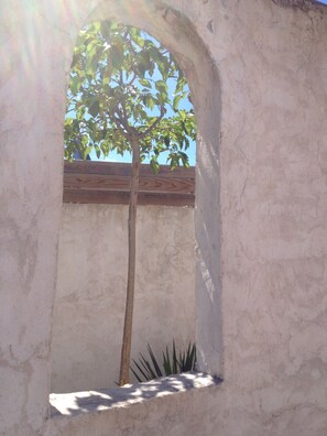 Exterior detail - NEAR CASSIS. HOUSE T2 COZY ISOLATED AT THE BOTTOM OF GARDEN (Carnoux-en-Provence)