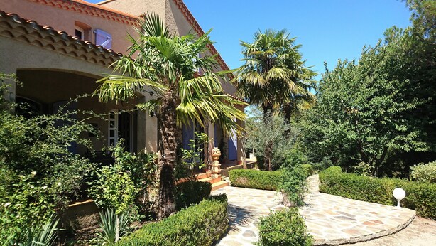 Une maison avec un chemin de pierre menant à l’entrée, entourée d’une végétation luxuriante et de palmiers.