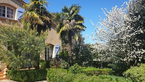 Un jardin avec un sentier en pierre, des palmiers et des arbustes en fleurs.