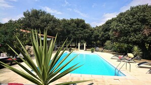Une piscine entourée d’un jardin où poussent différentes plantes et arbres.