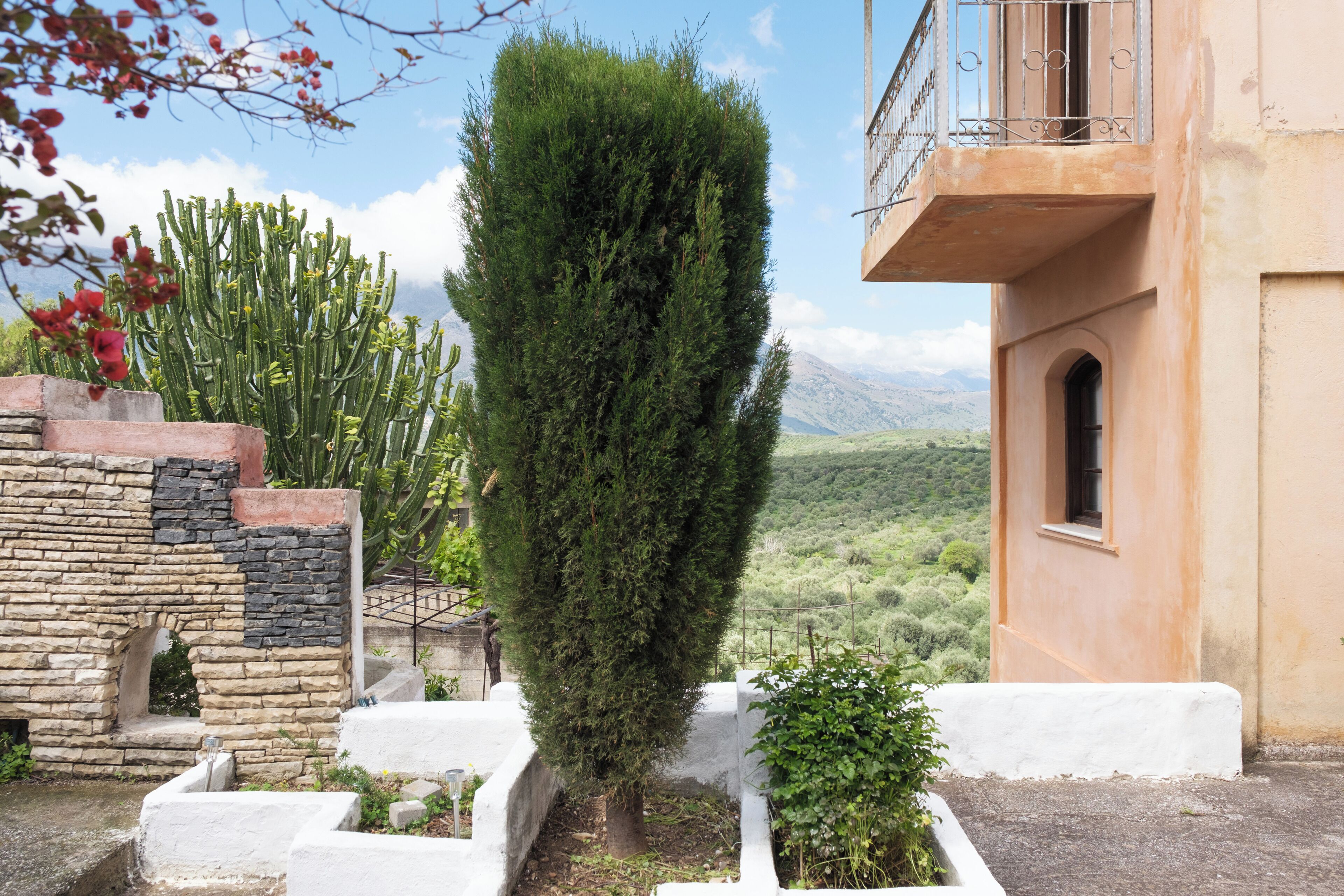 A courtyard with a tall, narrow tree, a stone wall, and a building with a balcony.
