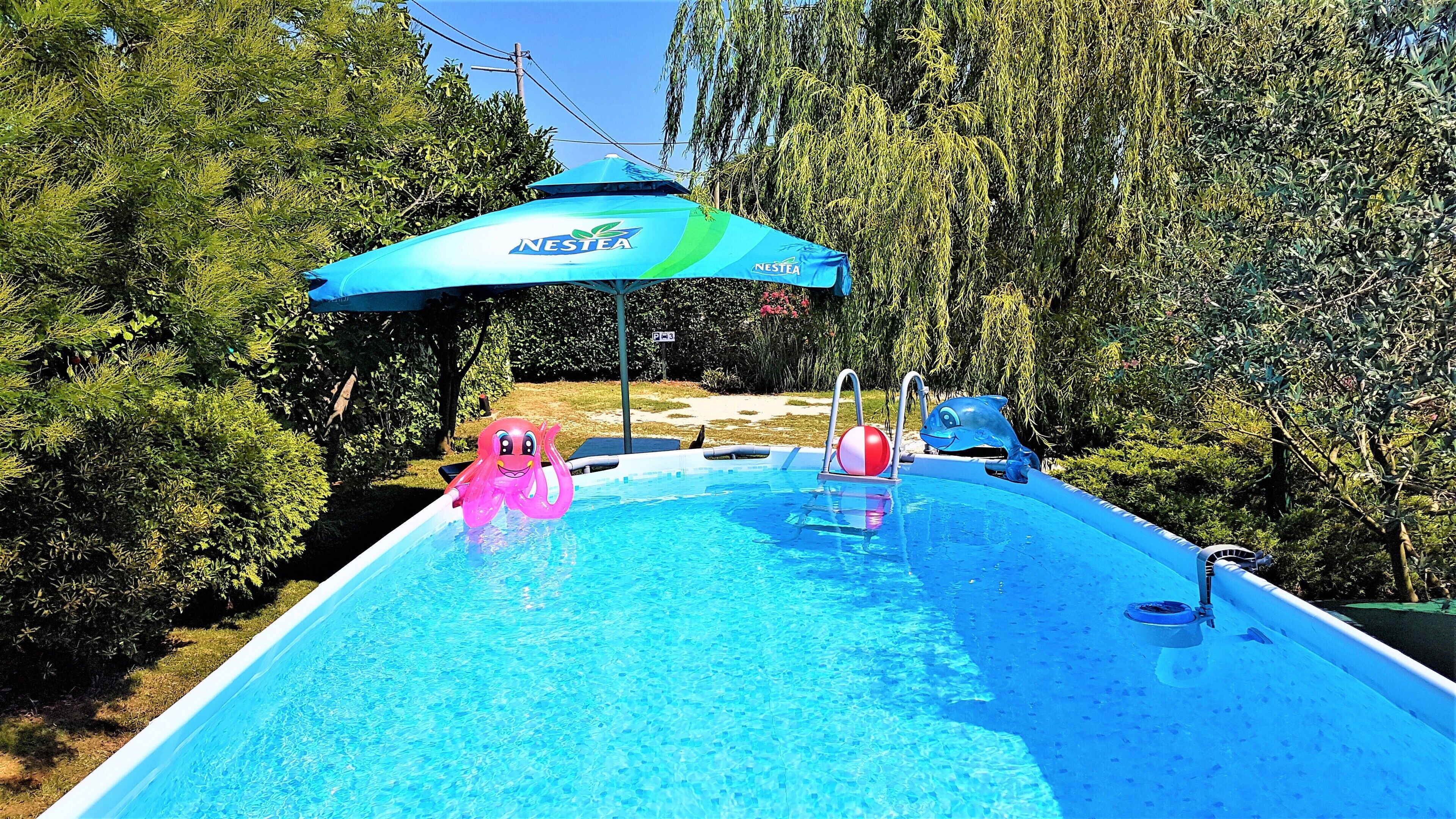 Une piscine avec un parasol bleu, entourée d’une végétation luxuriante.