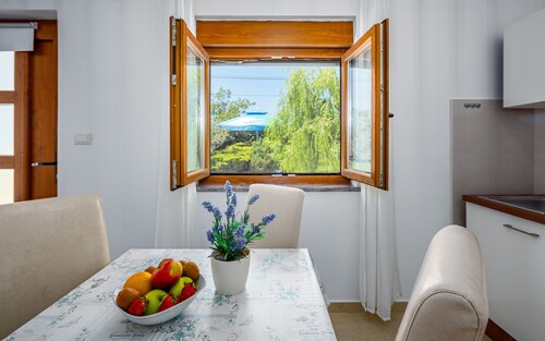 Willow Garden Apartment Apartment Willow Apartment