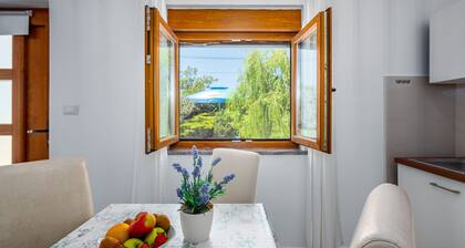 Willow Garden Apartment Apartment Willow Apartment