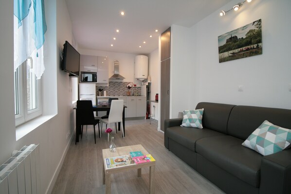 TV, DVD player, books