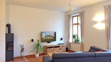Una televisión, una chimenea, un reproductor de DVD