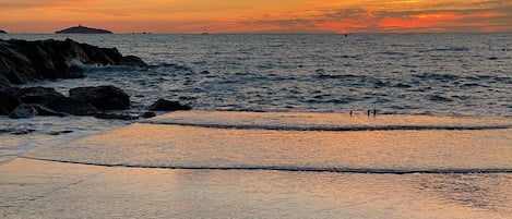 Nära stranden