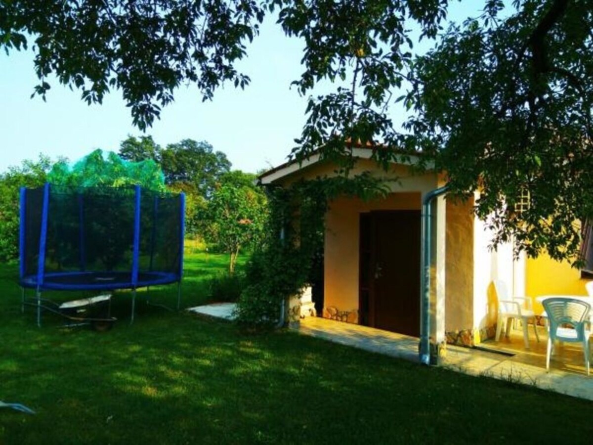 Imagen de perfil del propietario o de la propietaria