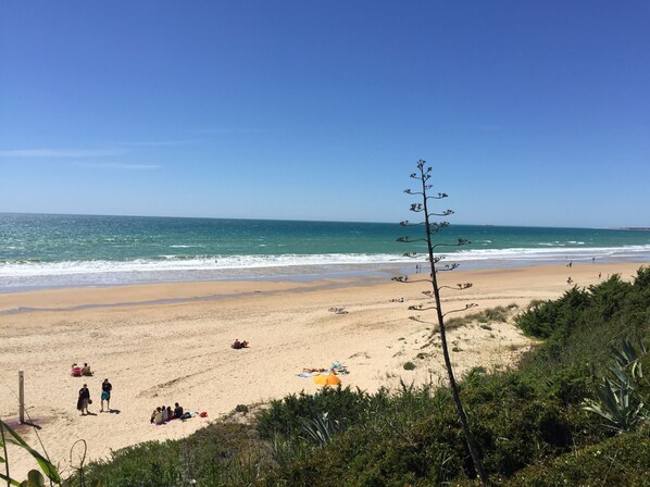 Plage à proximité, chaises longues, serviettes de plage