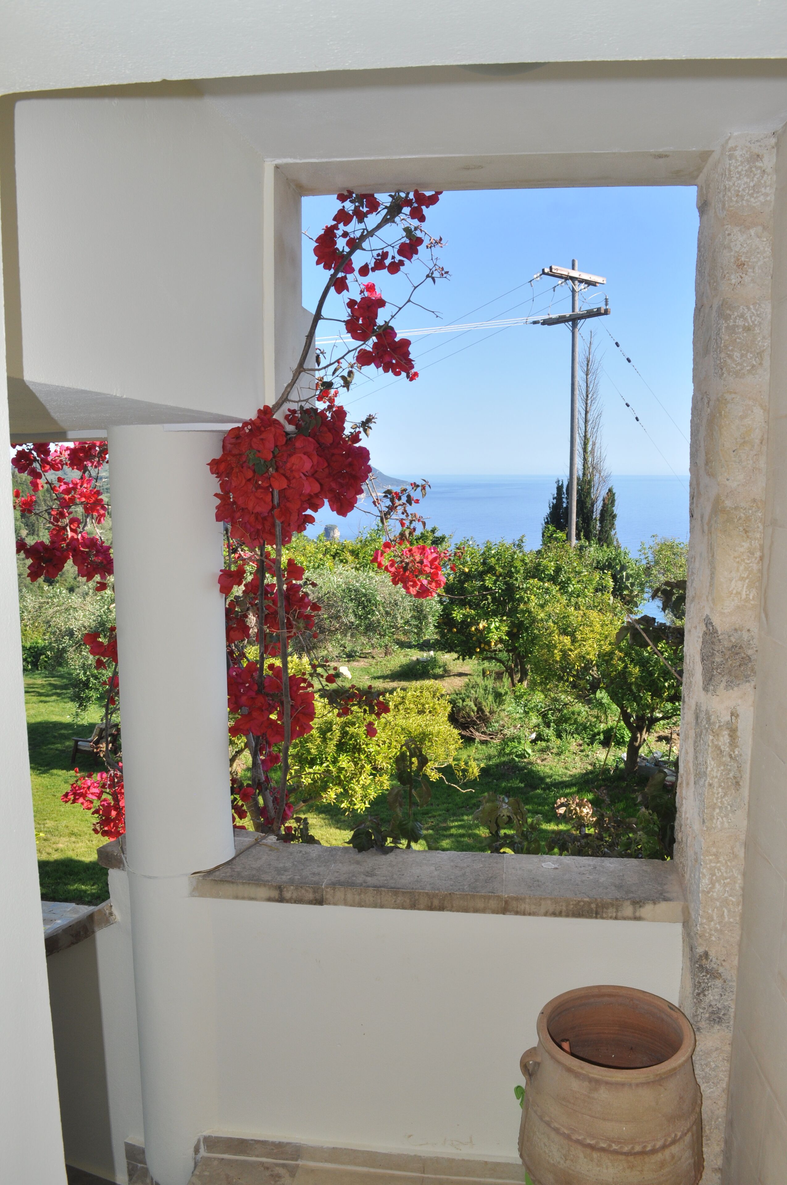 Blick durch ein Fenster mit roten Blumen, Blick auf das Meer und eine Stromleitung im Hintergrund.